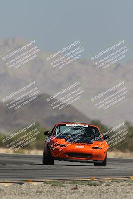 media/Oct-12-2025-Lucky Dog Racing (Sun) [[8adb5568ea]]/2-Second Stint/1-Turn 14/